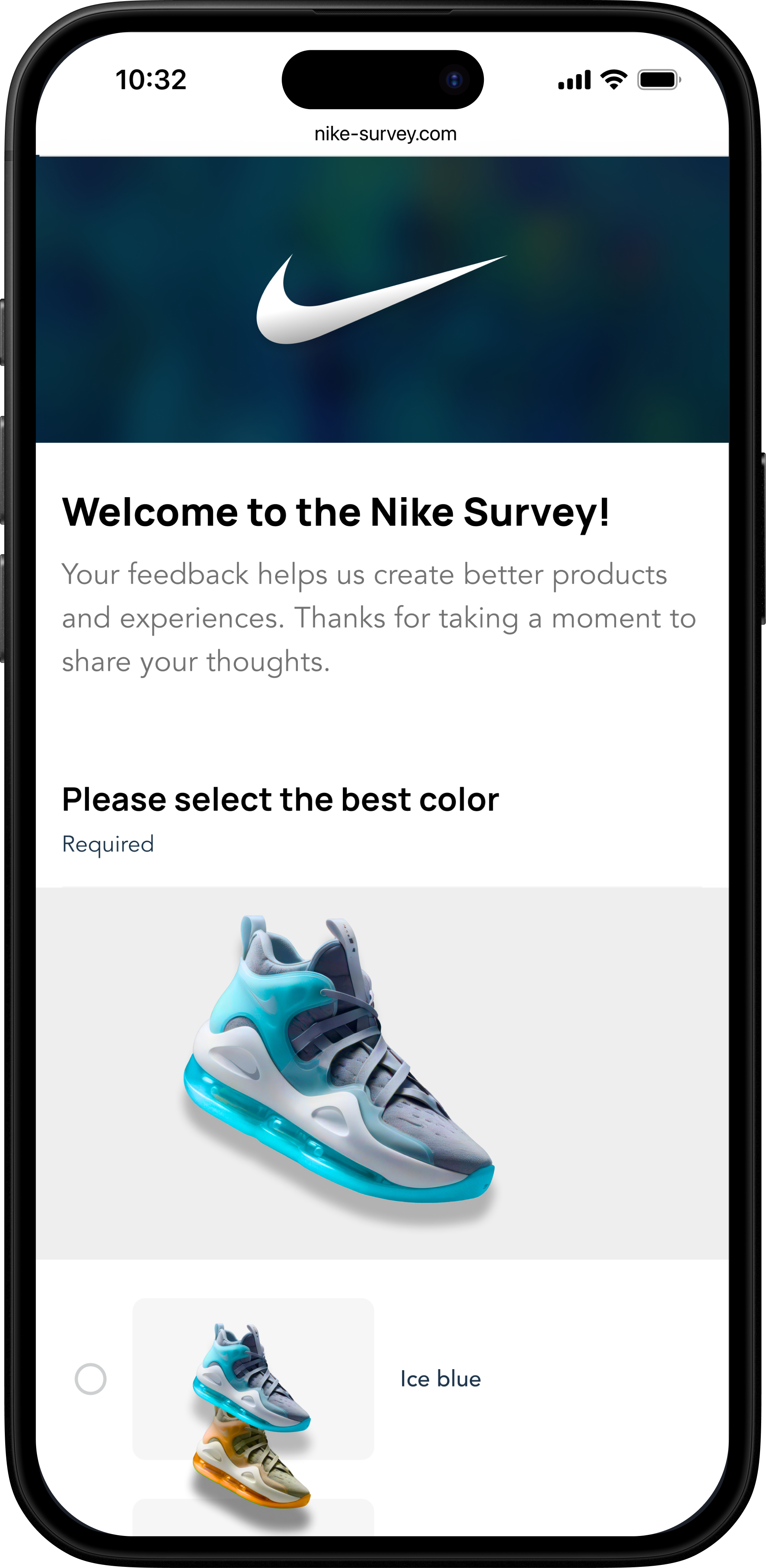 Survey 1